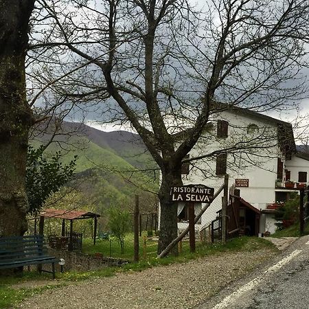 Albergo Ristorante La Selva Orsigna Экстерьер фото