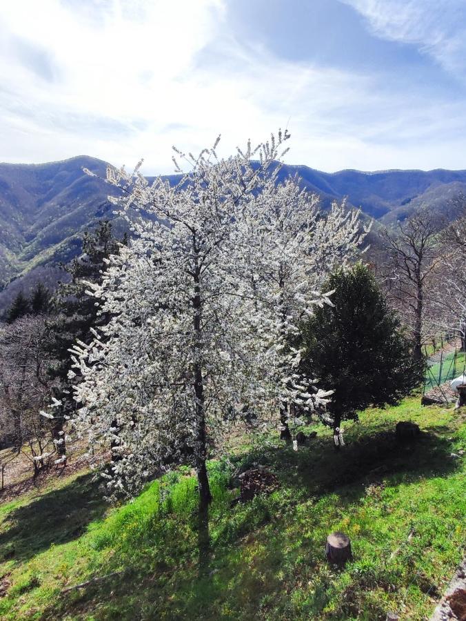 Albergo Ristorante La Selva Orsigna Экстерьер фото